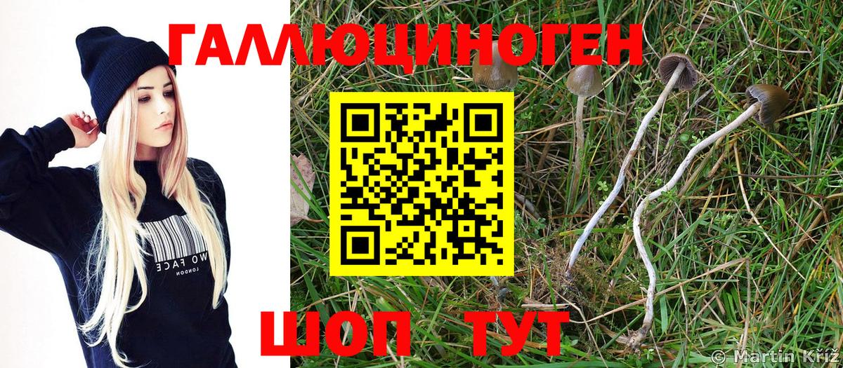 Галлюциногенные грибы Psilocybe  Вход с VPN  Гулькевичи  Псилоцибиновые грибы Psilocybe 